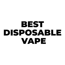 Best Disposable Vapes